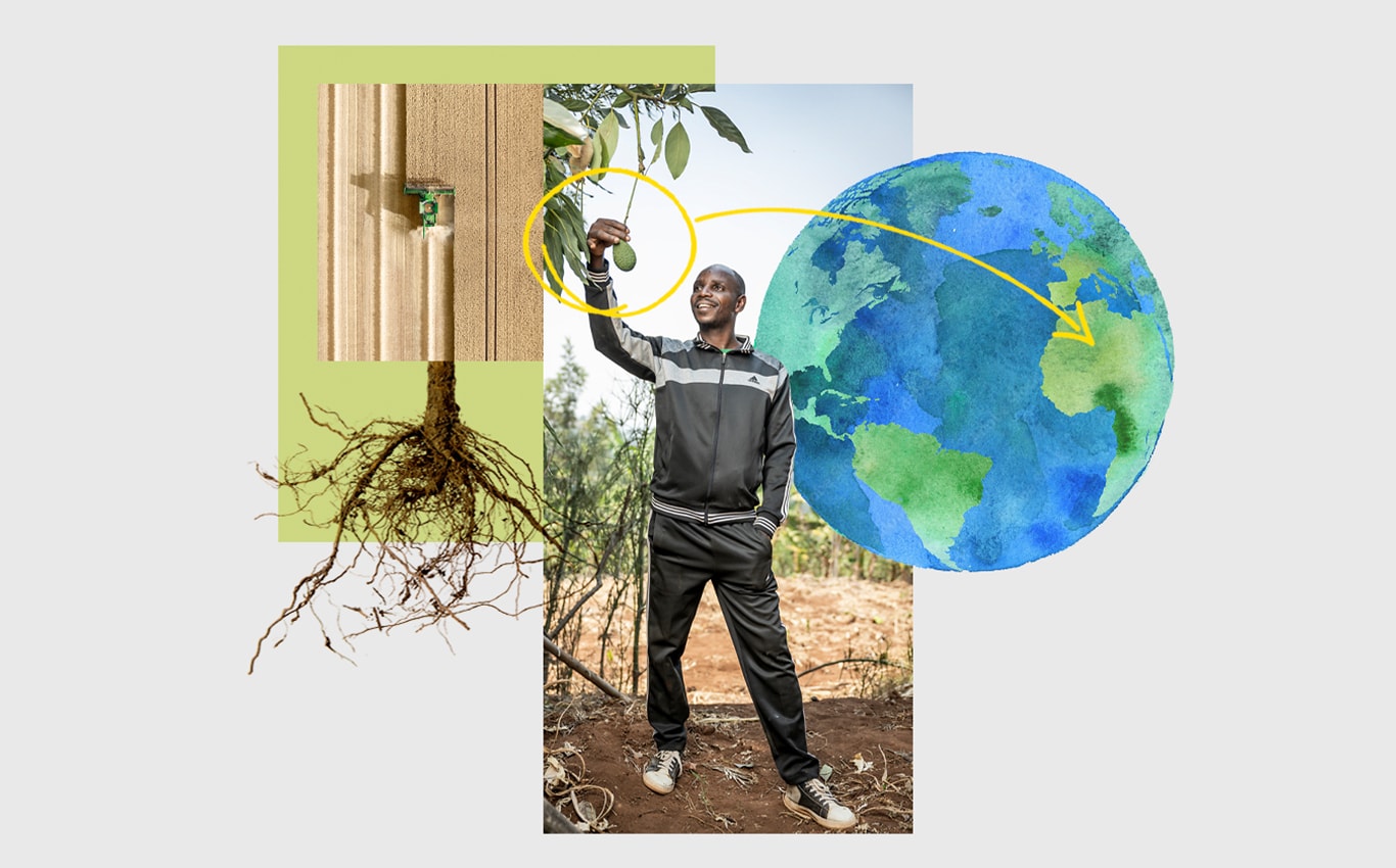 Skats no gaisa uz lauku ar John Deere kombainu, persona, kas satver kokā karājošos avokado, un bultiņa, kas Zemes attēlā norāda uz Āfriku.