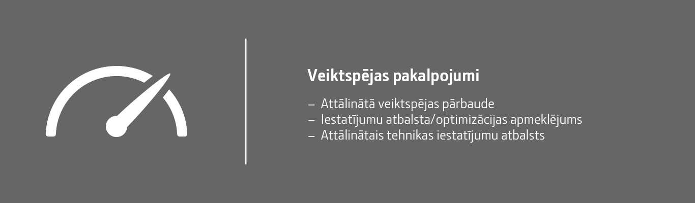 Veiktspējas pakalpojumi